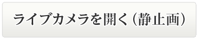 ライブカメラを開く（静止画）