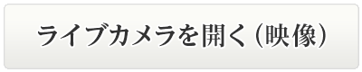 ライブカメラを開く（映像）